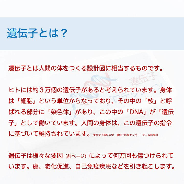 遺伝子を守ることで身体を守ります