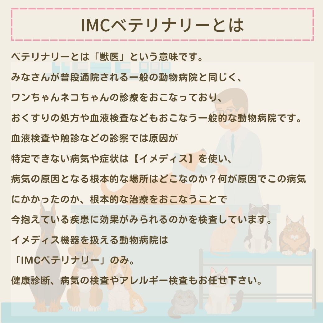 ネコ用関節に特化したサポートサプリ(シャーリック)