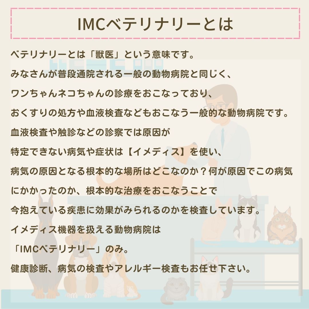 犬用腎臓に特化したサポートサプリ(シャーリック)