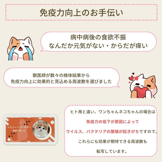 犬用免疫力低下予防サポートサプリ(シャーリック) - 2