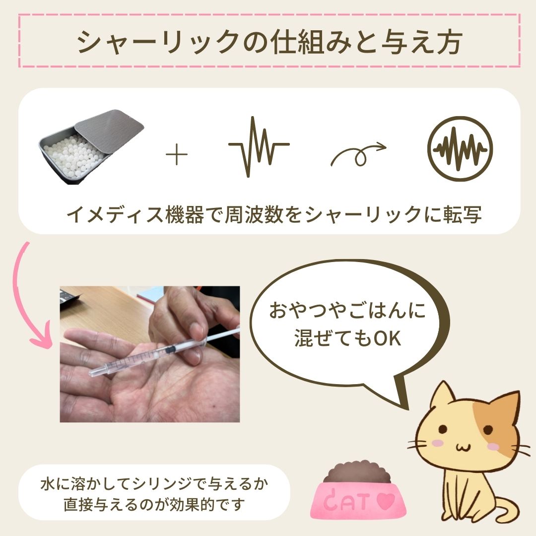 犬用腎臓に特化したサポートサプリ(シャーリック)