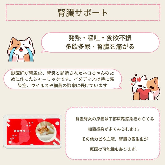 ネコ用腎臓に特化したサポートサプリ(シャーリック) - 2
