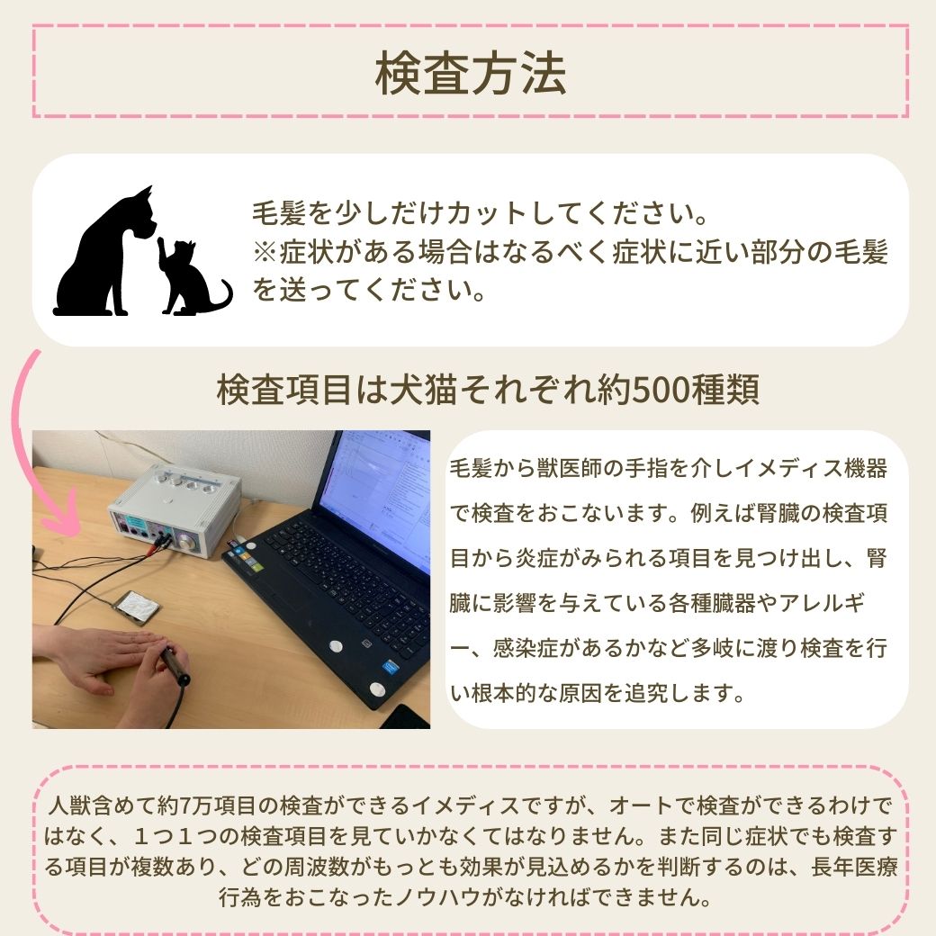 ネコ用心臓に特化したサポートサプリ(シャーリック)