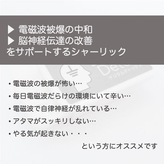 デジタルデトックス - 脳をアースする - 電磁波対策レメディ - 2