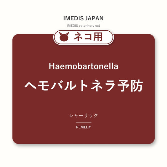 ネコ用ヘモバルトネラ予防に特化したサポートサプリ（シャーリック）