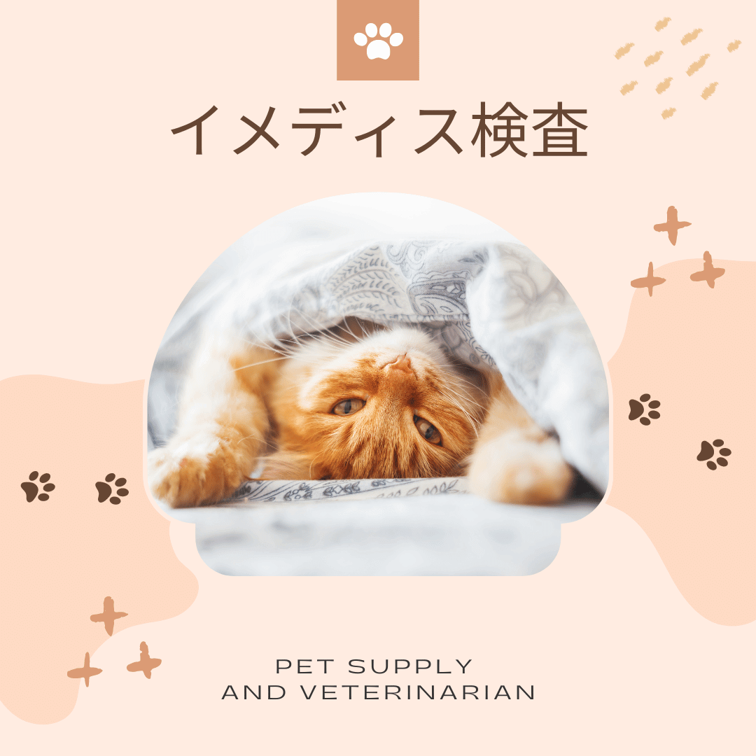 犬猫用イメディス検査